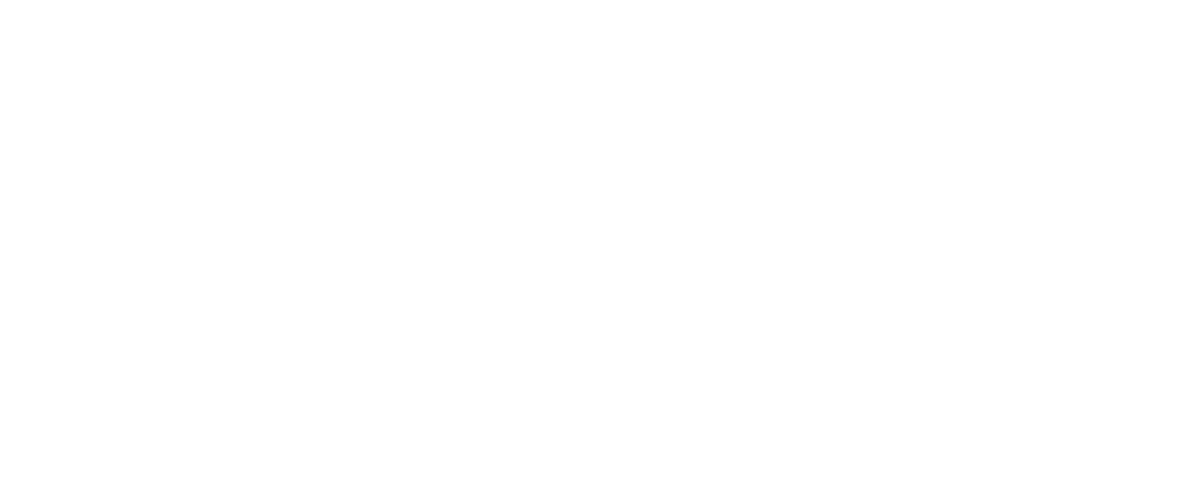 Socialisten Den Haag